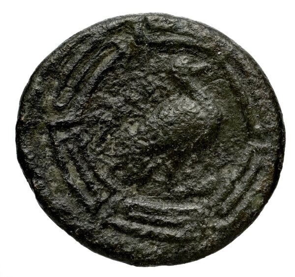 Nuceria Historia Numorum Italy 2438-46, реверс, bnf-iris