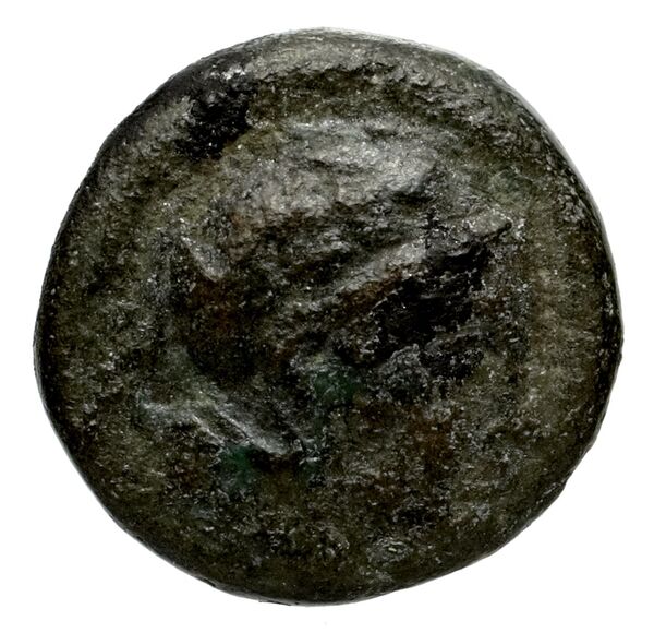 Nuceria Historia Numorum Italy 2438-46, аверс, bnf-iris