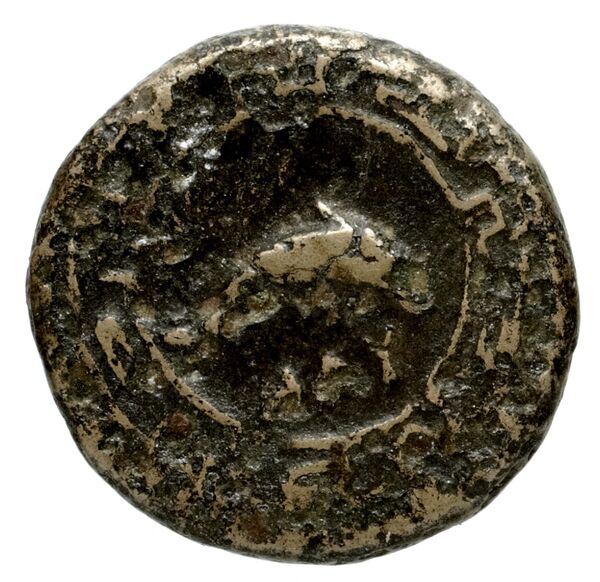 Nuceria Historia Numorum Italy 2438-46, реверс, bnf-iris