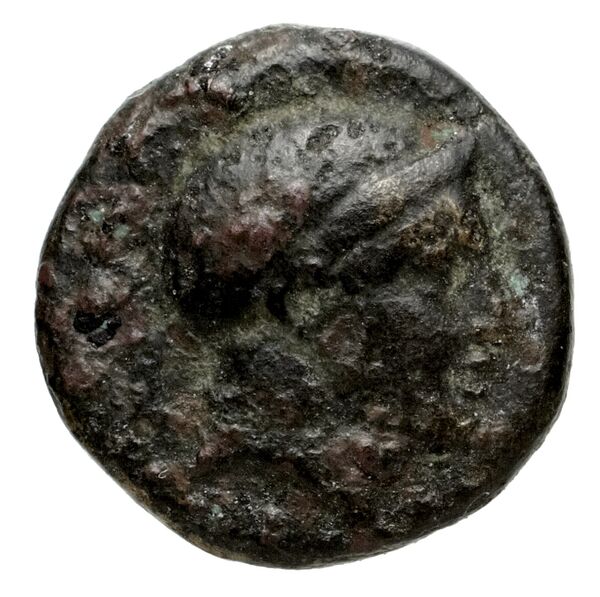 Nuceria Historia Numorum Italy 2438-46, аверс, bnf-iris