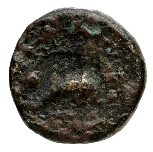 Nuceria Historia Numorum Italy 2438-46, реверс, bnf-iris