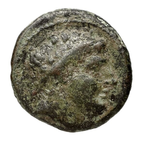 Nuceria Historia Numorum Italy 2438-46, аверс, bnf-iris