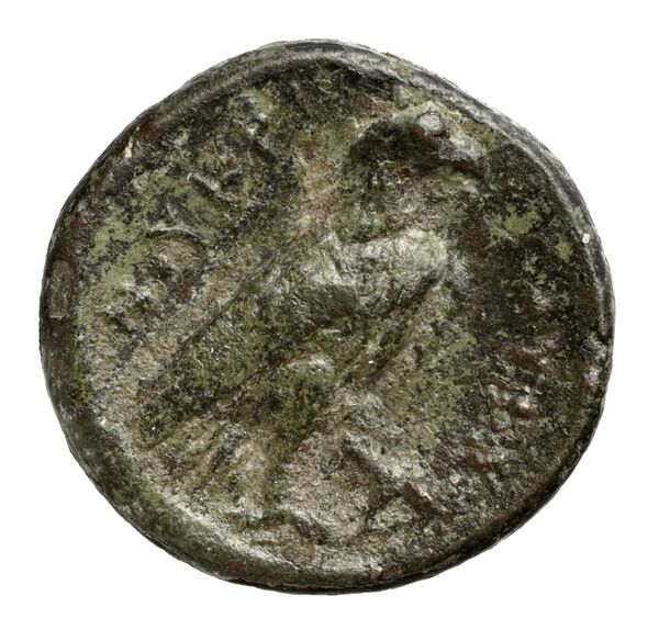 Nuceria Historia Numorum Italy 2438-46, реверс, bnf-iris