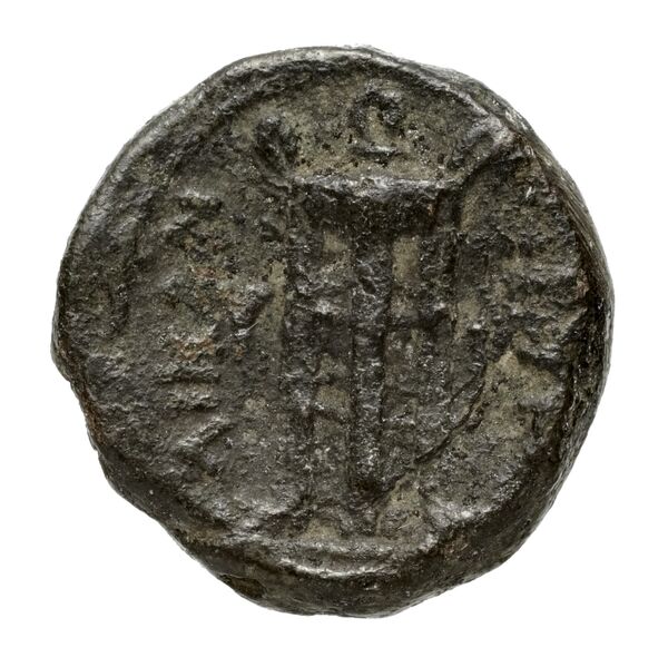 реверс Petelia Historia Numorum Italy 2465