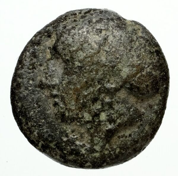 Phocaea BMC Phocaea 91-3, аверс, bnf-iris