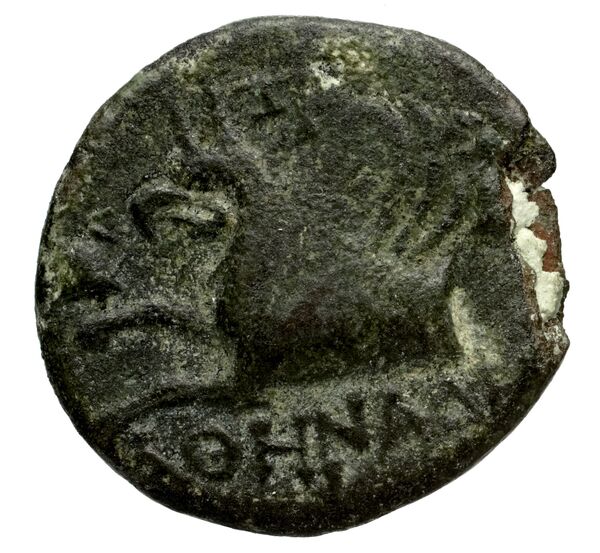Phocaea BMC Phocaea 103-8, реверс, bnf-iris