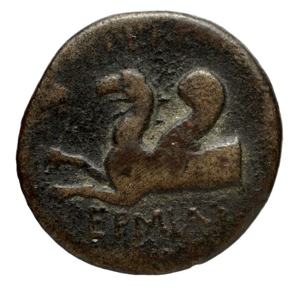 Phocaea BMC Phocaea 103-8, реверс, bnf-iris
