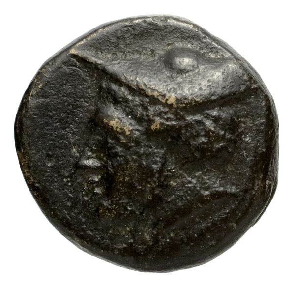 Phocaea BMC Phocaea 98, аверс, bnf-iris