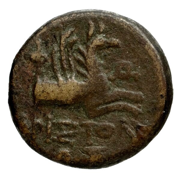 Phocaea BMC Phocaea 103-8, реверс, bnf-iris
