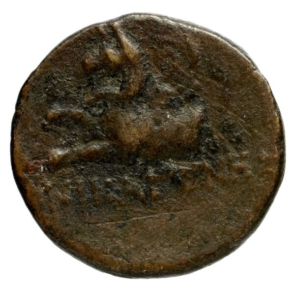 Phocaea BMC Phocaea 101-2, реверс, bnf-iris