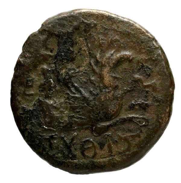 Phocaea BMC Phocaea 103-8, реверс, bnf-iris
