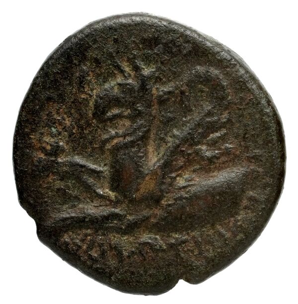 Phocaea BMC Phocaea 101-2, реверс, bnf-iris