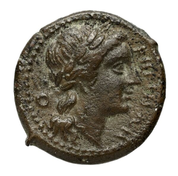 Phocaea BMC Phocaea 109-13, реверс, bnf-iris