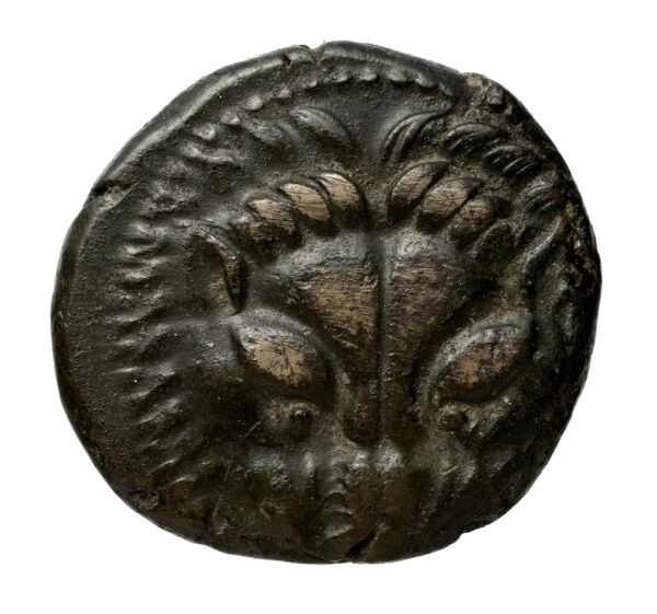 Phocaea BMC Phocaea 109-13, аверс, bnf-iris