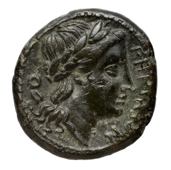 Phocaea BMC Phocaea 109-13, реверс, bnf-iris