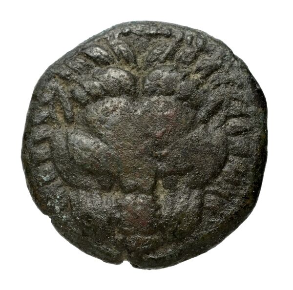 Phocaea BMC Phocaea 109-13, аверс, bnf-iris