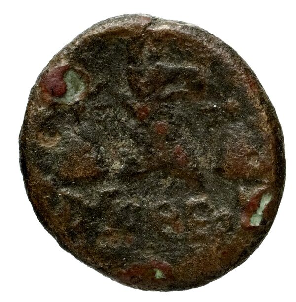 Phocaea BMC Phocaea 109-13, реверс, bnf-iris
