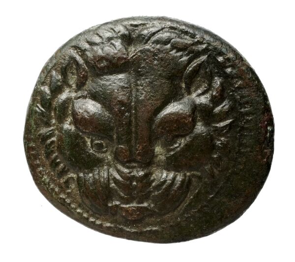 Hieron II Syracuse Caltabiano 1997 91-219, аверс, bnf-iris