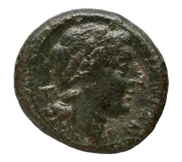 Hieron II Syracuse Caltabiano 1997 91-219, реверс, bnf-iris