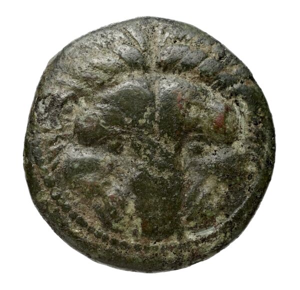 Rhegium Historia Numorum Italy 2534-6, аверс, bnf-iris
