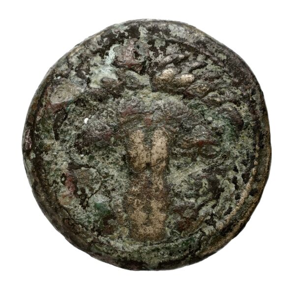 Rhegium Historia Numorum Italy 2534-6, аверс, bnf-iris