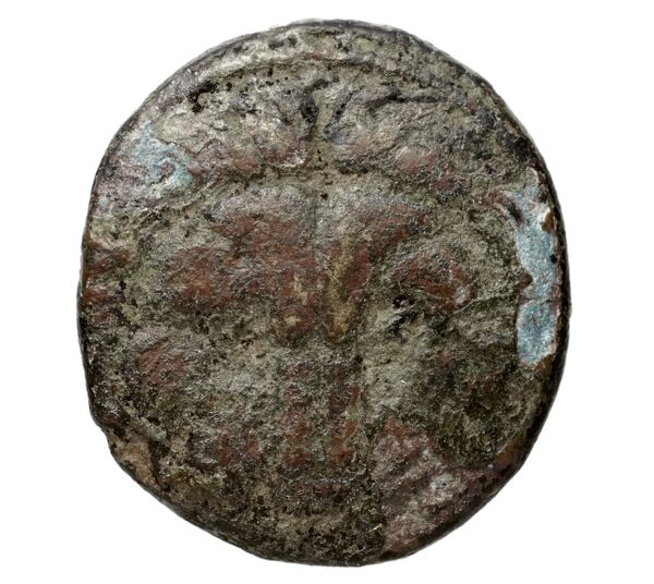 Rhegium Historia Numorum Italy 2534-6, аверс, bnf-iris