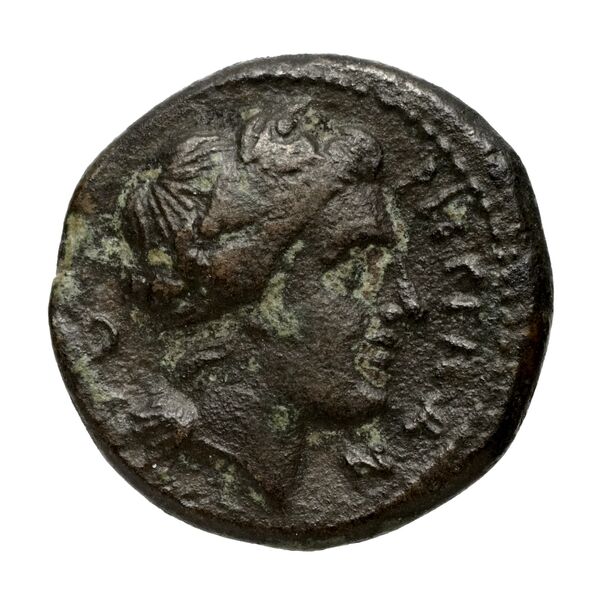 Siceliotae rev