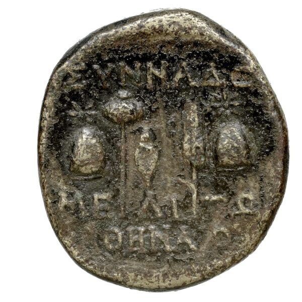 Synnada BMC Synnada 5-7, реверс, bnf-iris