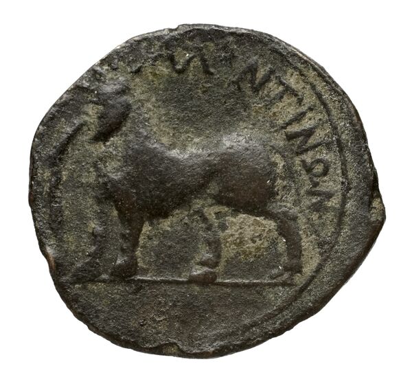 coin rev