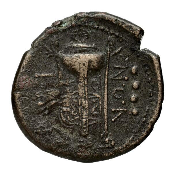 Rhegium Historia Numorum Italy 2550, реверс, bnf-iris