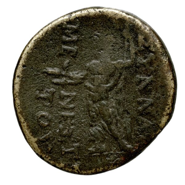 Synnada BMC Synnada 2-4, реверс, bnf-iris