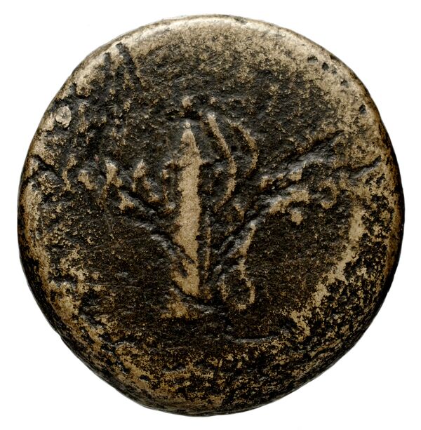 Capua Historia Numorum Italy 493, reverse, bnf-iris