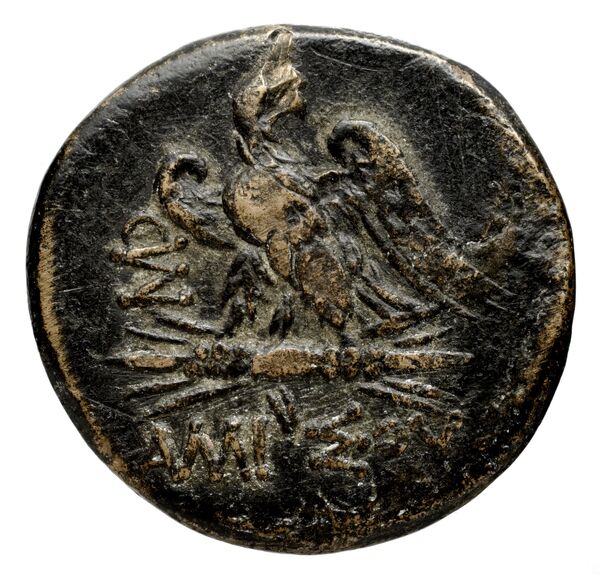 coin rev