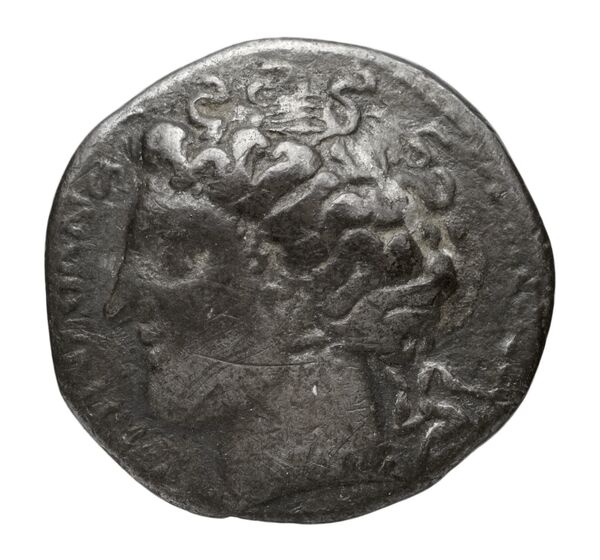 Hieron II Syracuse Carroccio 1994 pl_XV_N-O, аверс, bnf-iris