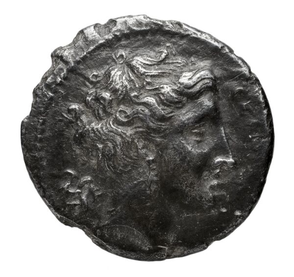 Hieron II Syracuse Carroccio 1994 pl_XV_L-M, аверс, bnf-iris