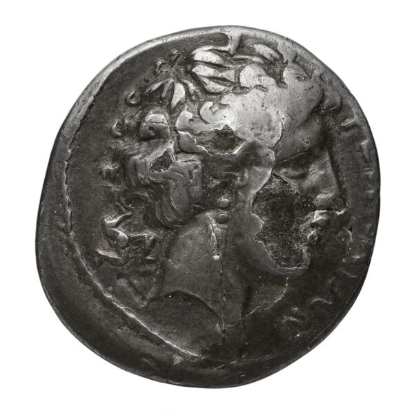 Hieron II Syracuse Carroccio 1994 pl_XV_L-M, аверс, bnf-iris