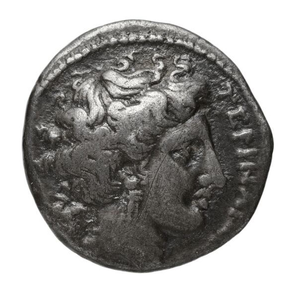Syracuse Puglisi 2009 347, аверс, bnf-iris