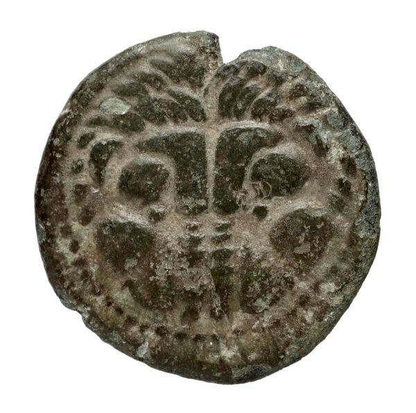 Terina Historia Numorum Italy 2648, аверс, bnf-iris