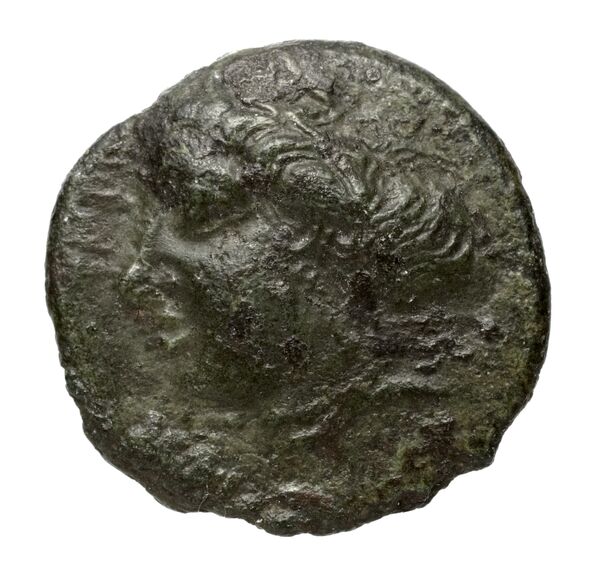 Terina Historia Numorum Italy 2651, аверс, bnf-iris