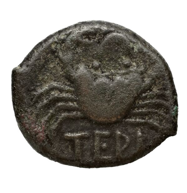 Terina Historia Numorum Italy 2646, реверс, bnf-iris