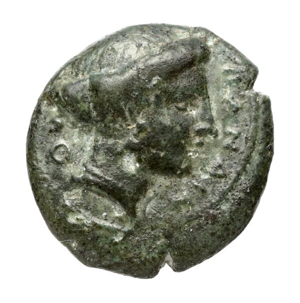 аверс Terina Historia Numorum Italy 2650