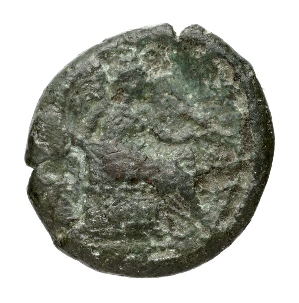 реверс Terina Historia Numorum Italy 2650