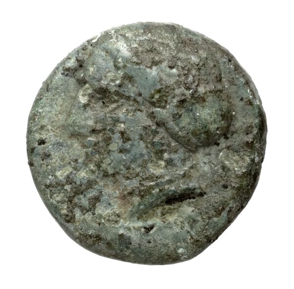 Terina Historia Numorum Italy 2651, аверс, bnf-iris