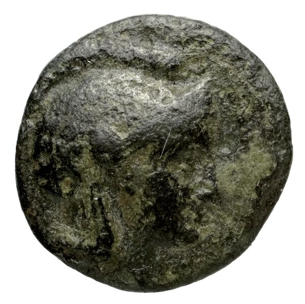 Tauromenium Puglisi 2009 370, аверс, bnf-iris