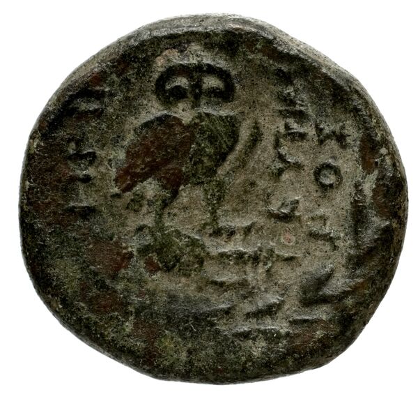 Priene Regling 1927 S, реверс, bnf-iris