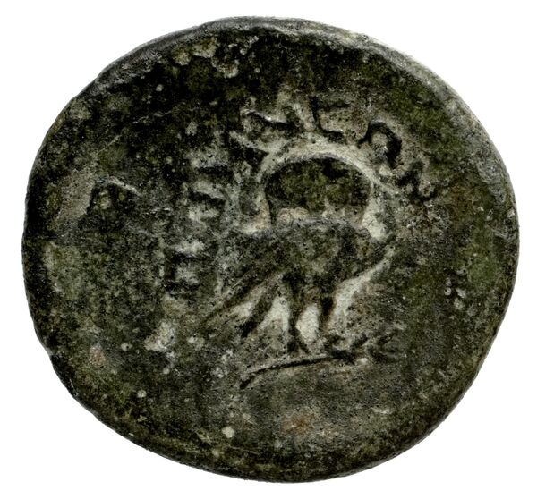 Tauromenium Puglisi 2009 385, реверс, bnf-iris