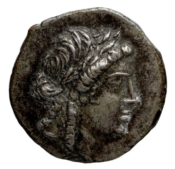 Tauromenium SNG ANS 1114-1120, аверс, bnf-iris