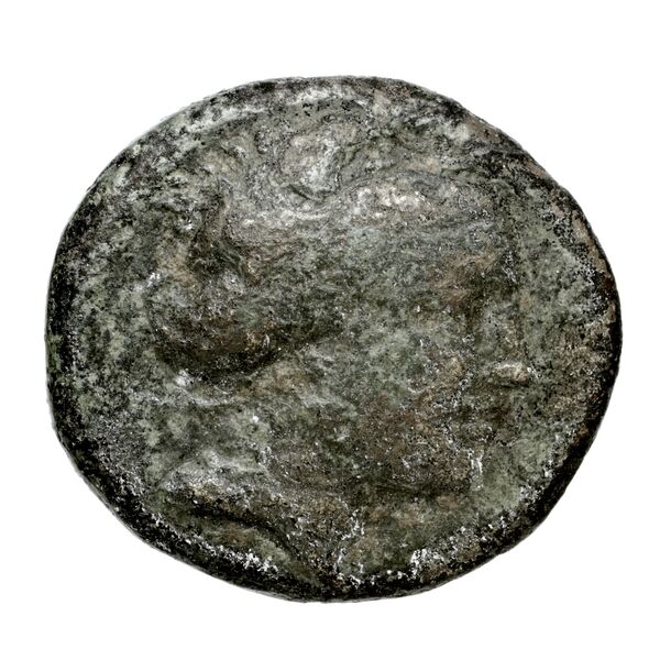 Histiaea Babelon 1914 193-195, obverse, bnf-iris