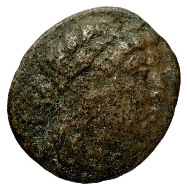 Tauromenium Puglisi 2009 379, аверс, bnf-iris