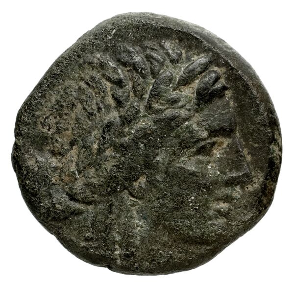 Tauromenium Puglisi 2009 386, аверс, bnf-iris